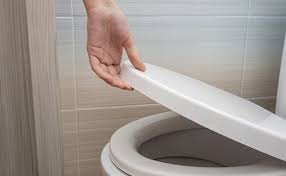 मेहमानों के आने से पहले बाथरूम में रख दें ये एक चीज, नहीं आएगी टॉयलेट की बदबू