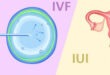 IUI और IVF में क्या फर्क है? र‍िसर्च से समझें क‍िन कंडीशन में कौन से फर्टिलिटी ट्रीटमेंट की पड़ती है जरूरत